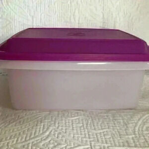 Tupperware ice cream container